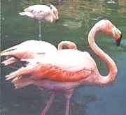 Wer besucht mich in SEA World ?