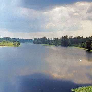 Floridaurlaub - Park mitten in Orlando - Eindr�cke wie in den Everglades